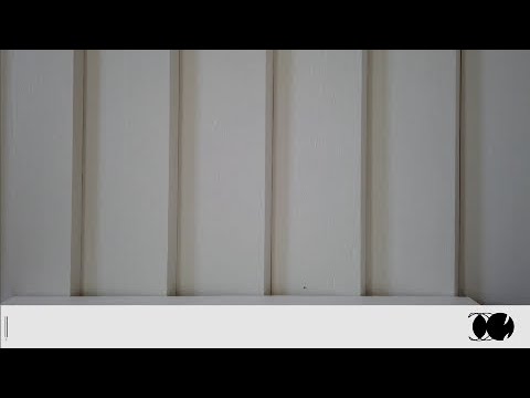 돼지고기마니아