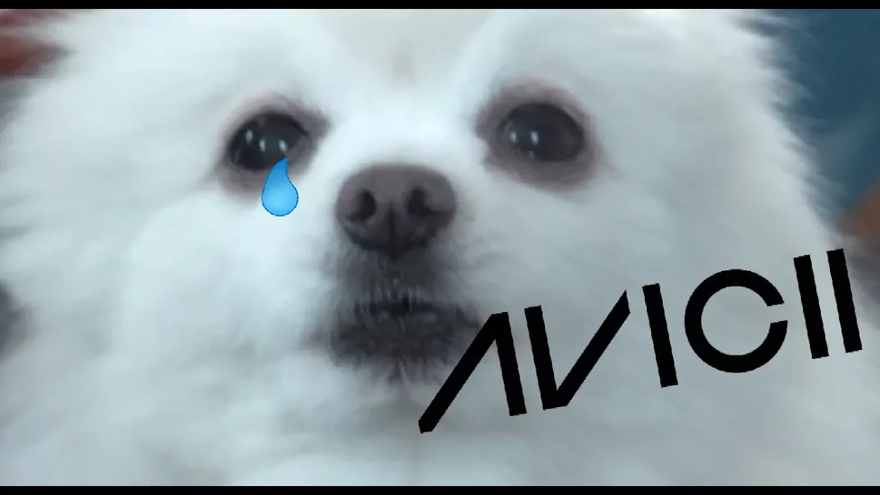 Avicii Bork Tribute