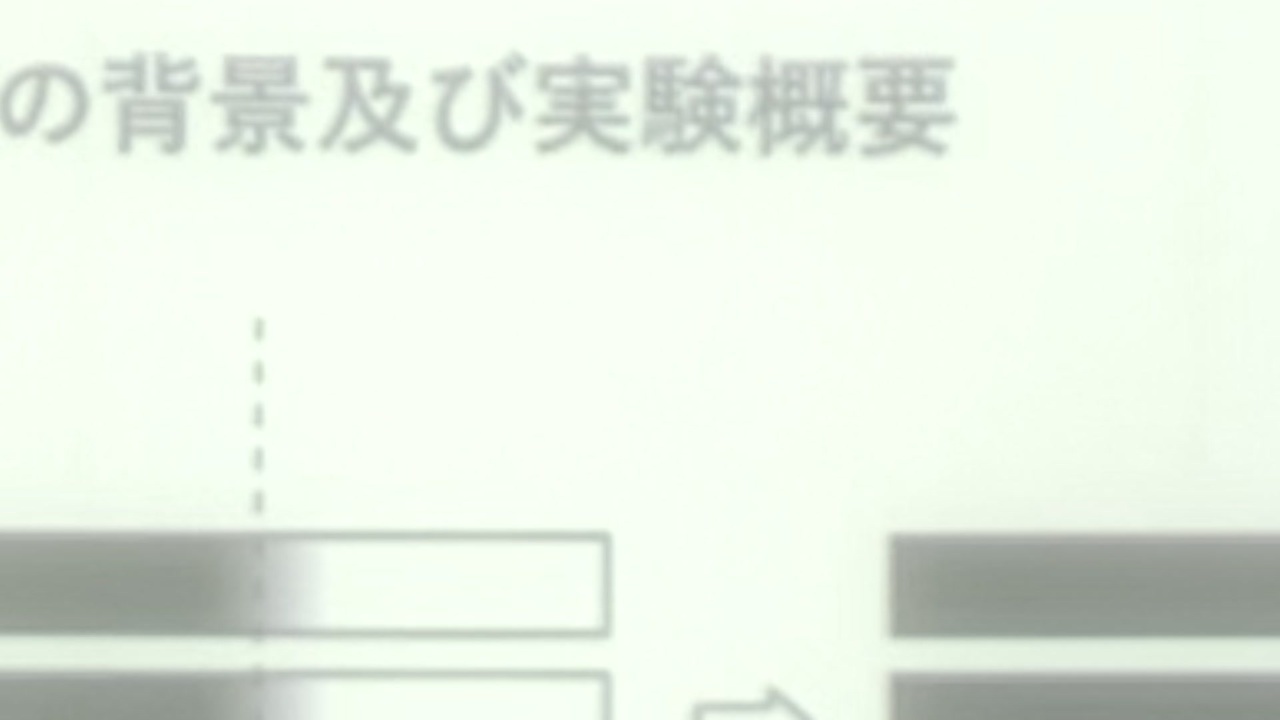 Report.