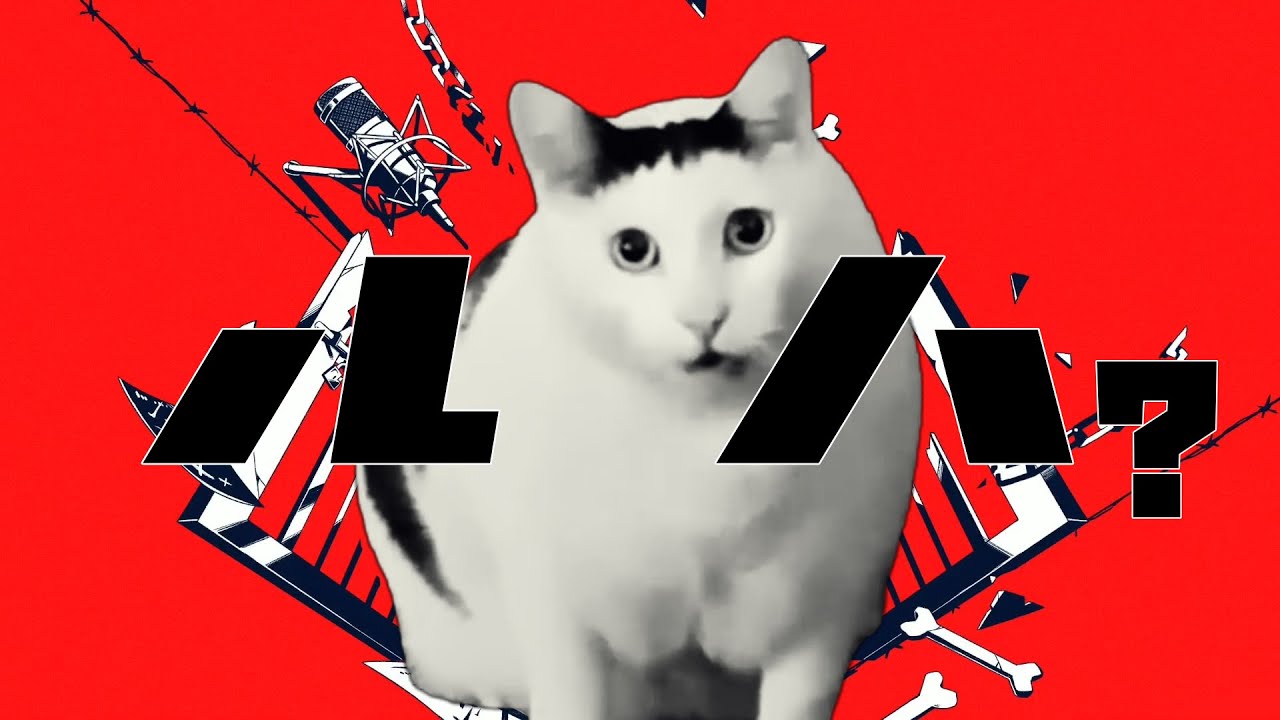 【音MAD】ルは?/猫ミーム