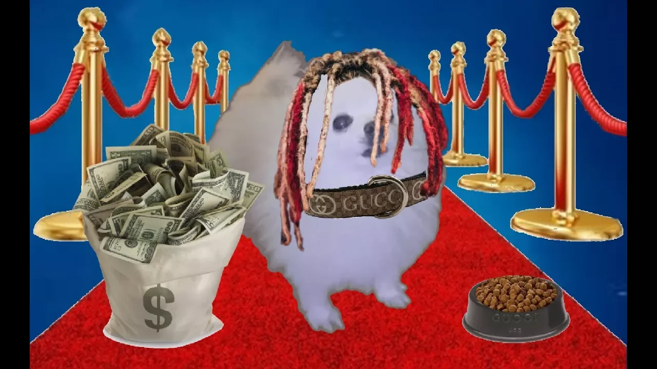 Gucci Dog