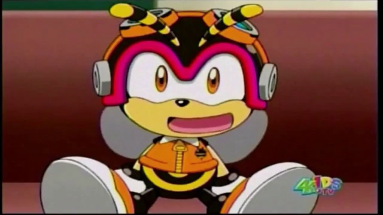 The Charmy Bee Song (Seizure Warning)