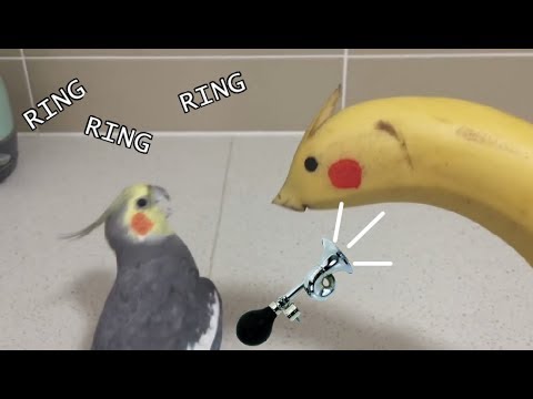 Bahonkaphone
