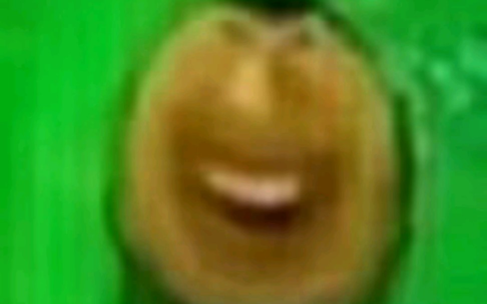 摩洛哥脑禅花园