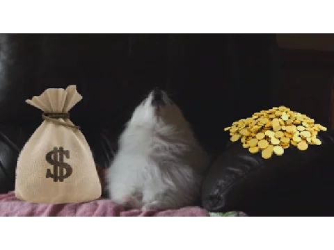G.A.B.E. - Paper Dog