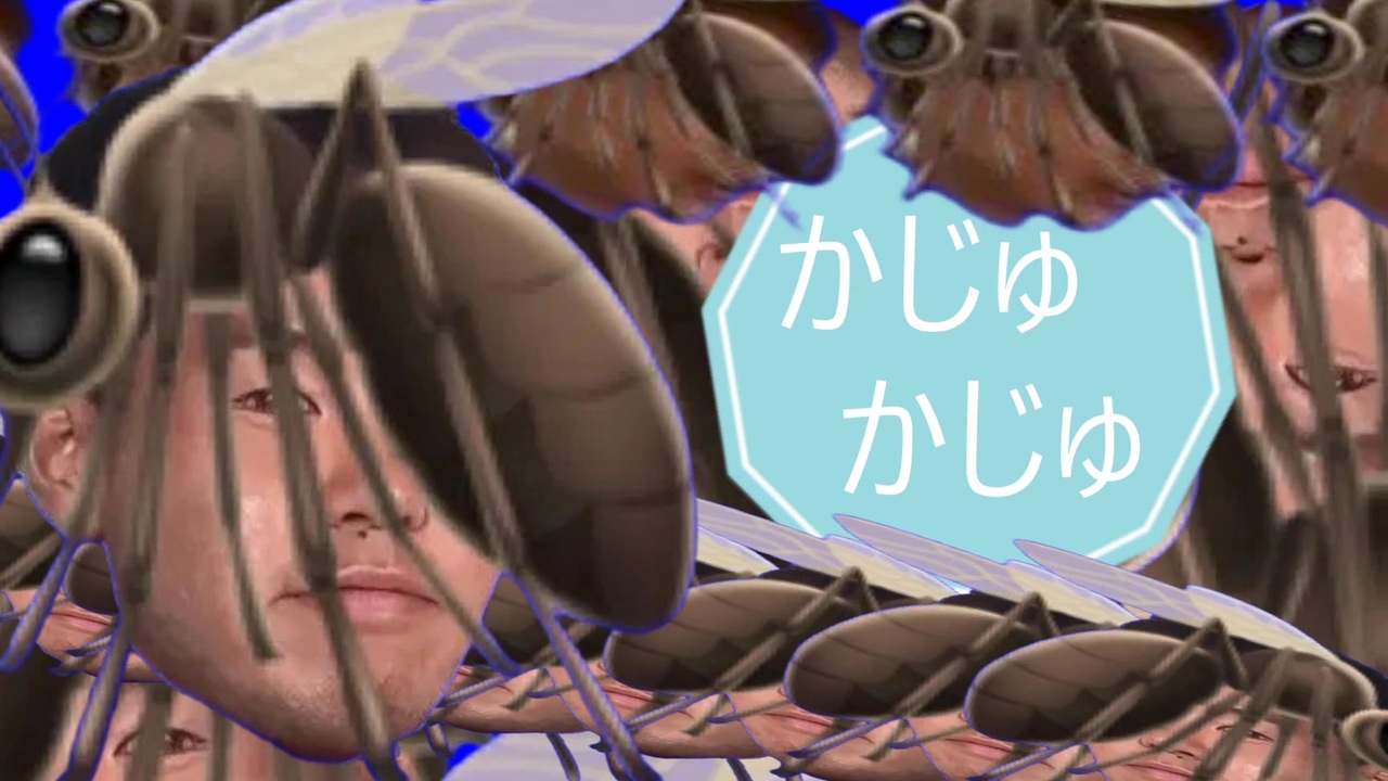 かじゅかじゅ