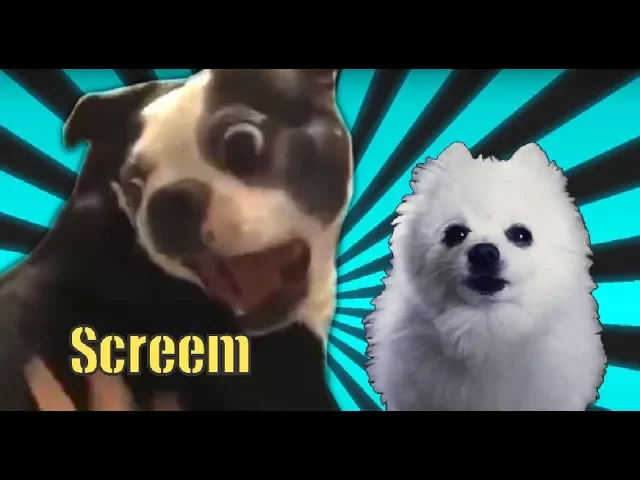 Ahowlnation - Screem