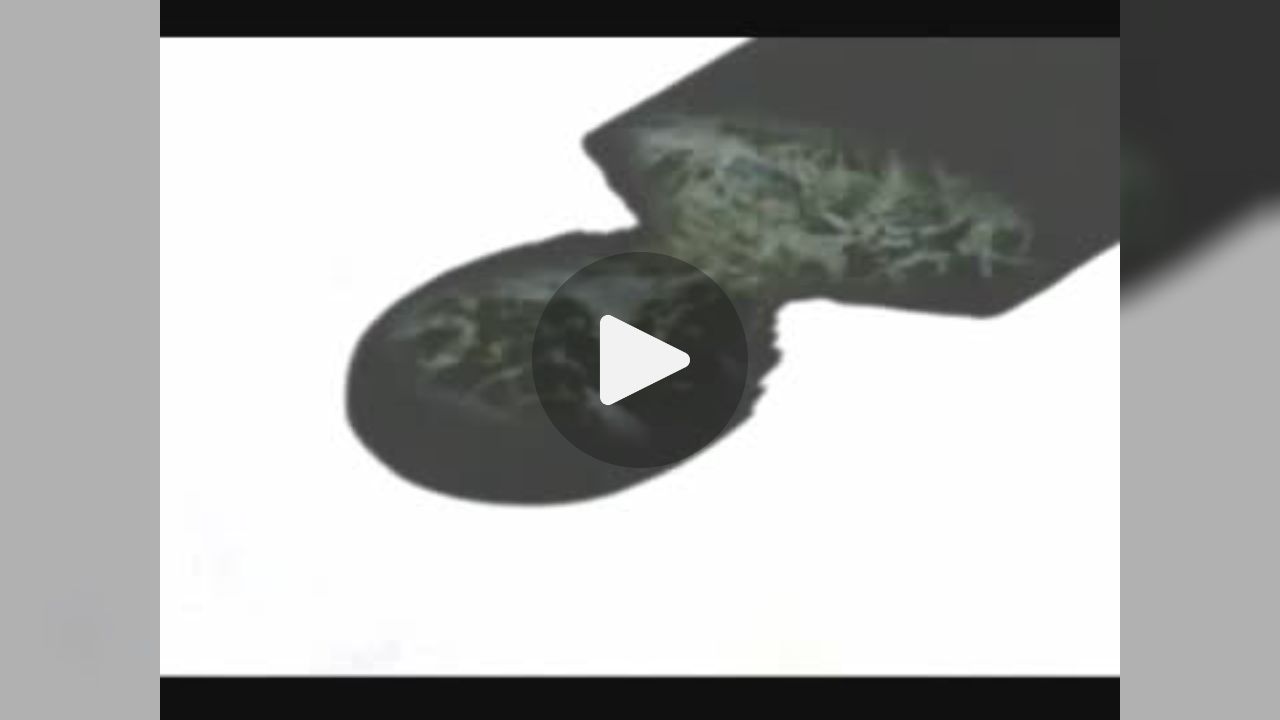 アタシはアタシ