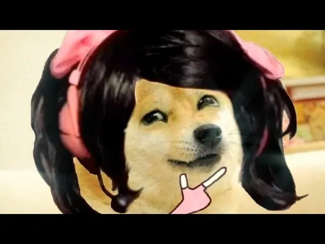 Hit or Miss