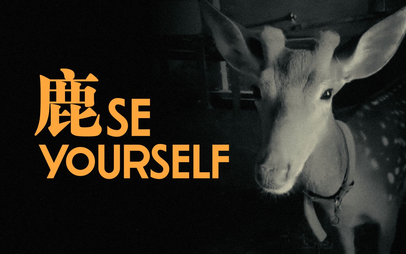 Lùse Yourself