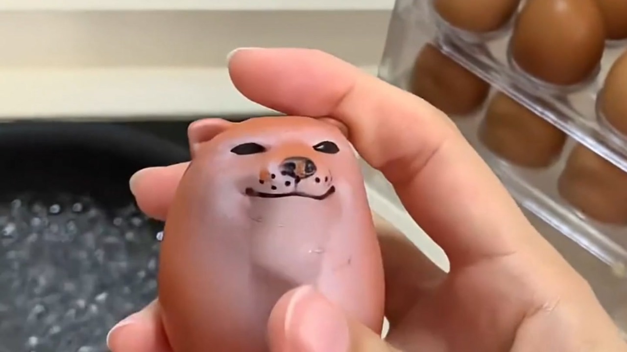 謎の柴子