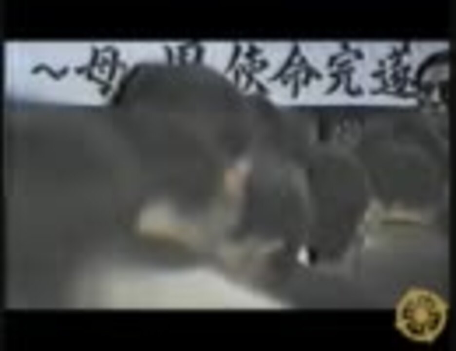 コリアミキサー