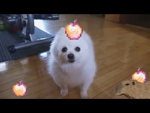 Okay I Bork up