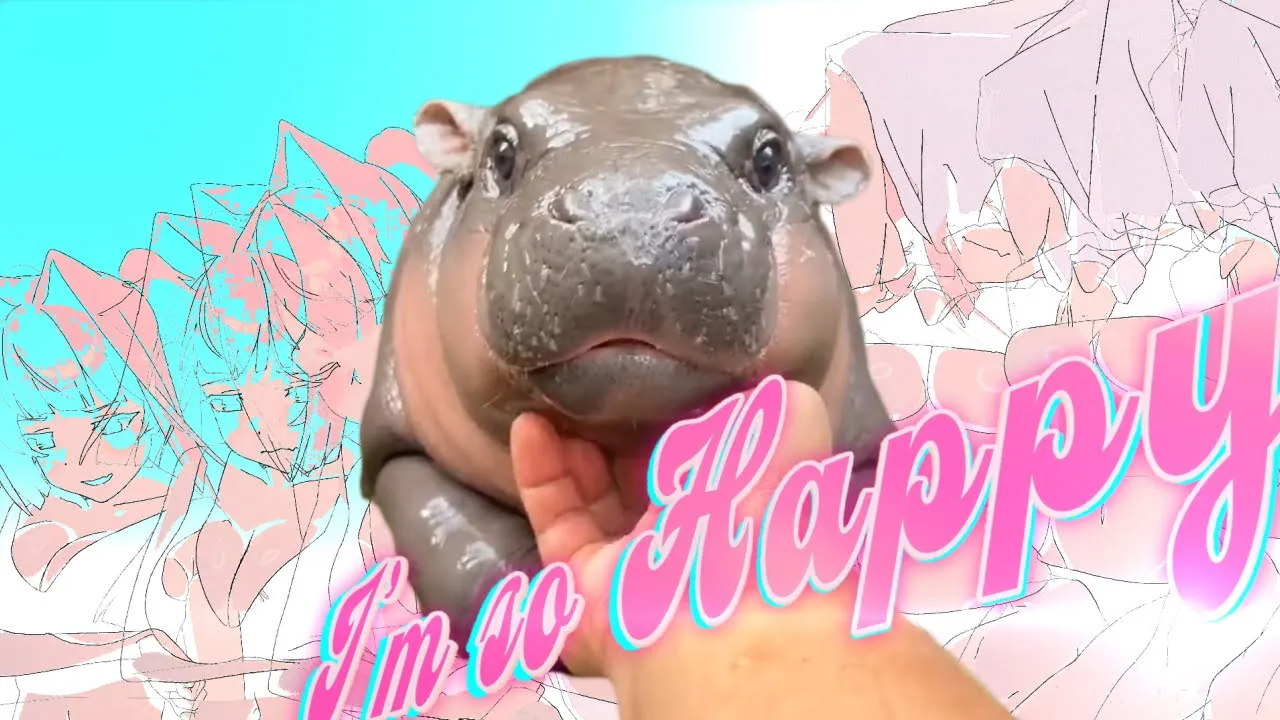【一晩】【合作】I'm so happy