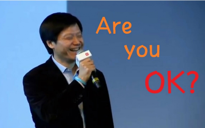 【循环向】跟着雷总摇起来！Are you OK！