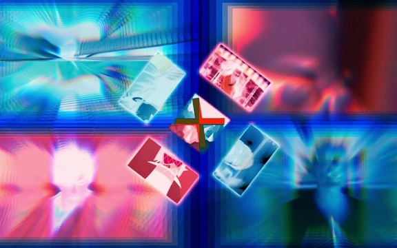 海蜇
