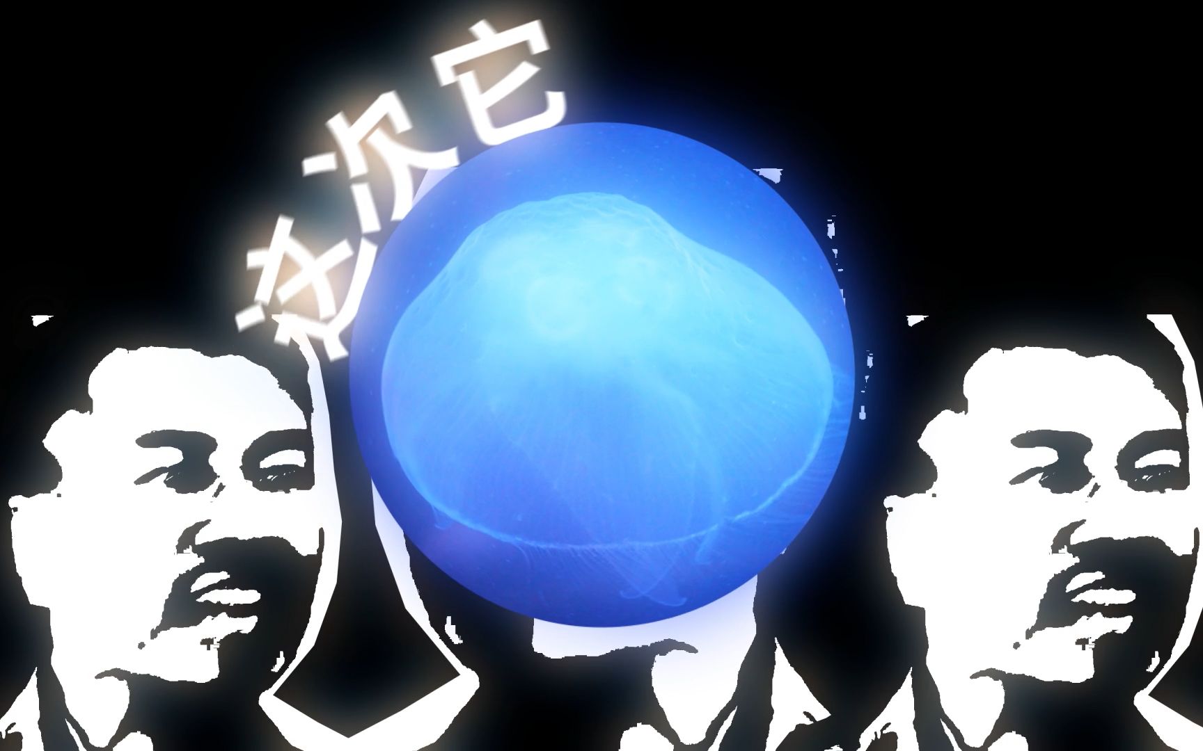 海蜇